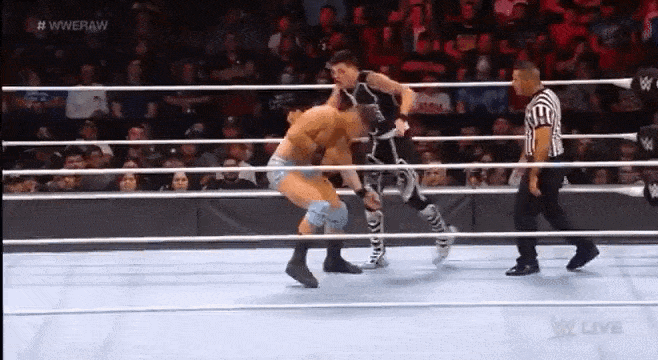 HELLA WRESTLING FINISHERS